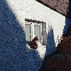 ItemFix profile picture for @Gul