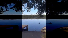 item: 'Helicopter Crash, Damn'