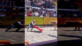 item: 'Aspiring Matador ..'